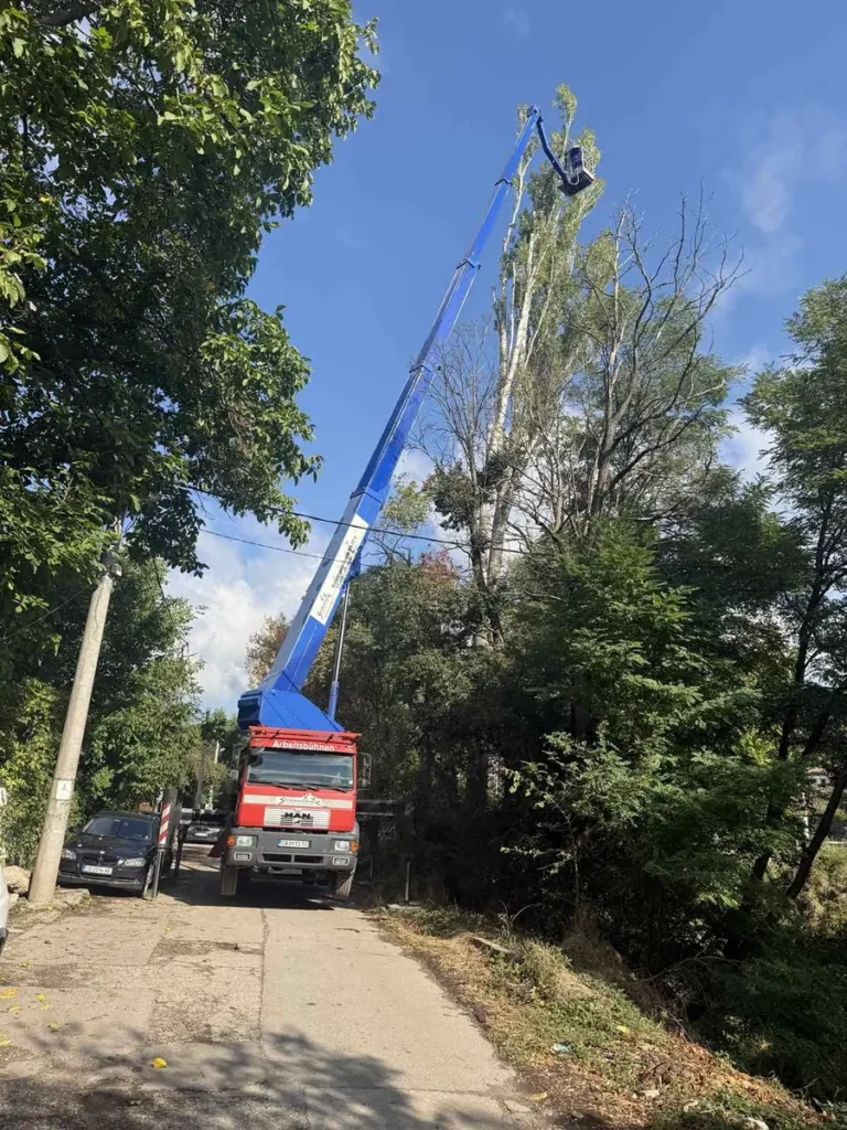 Автовишка със стрела, вдигната в короната на високо дърво при кастрене